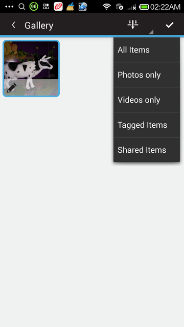 galleryfilter.png
